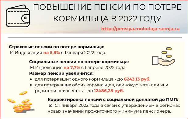 Пенсия по потере кормильца в 2022 году сумма
